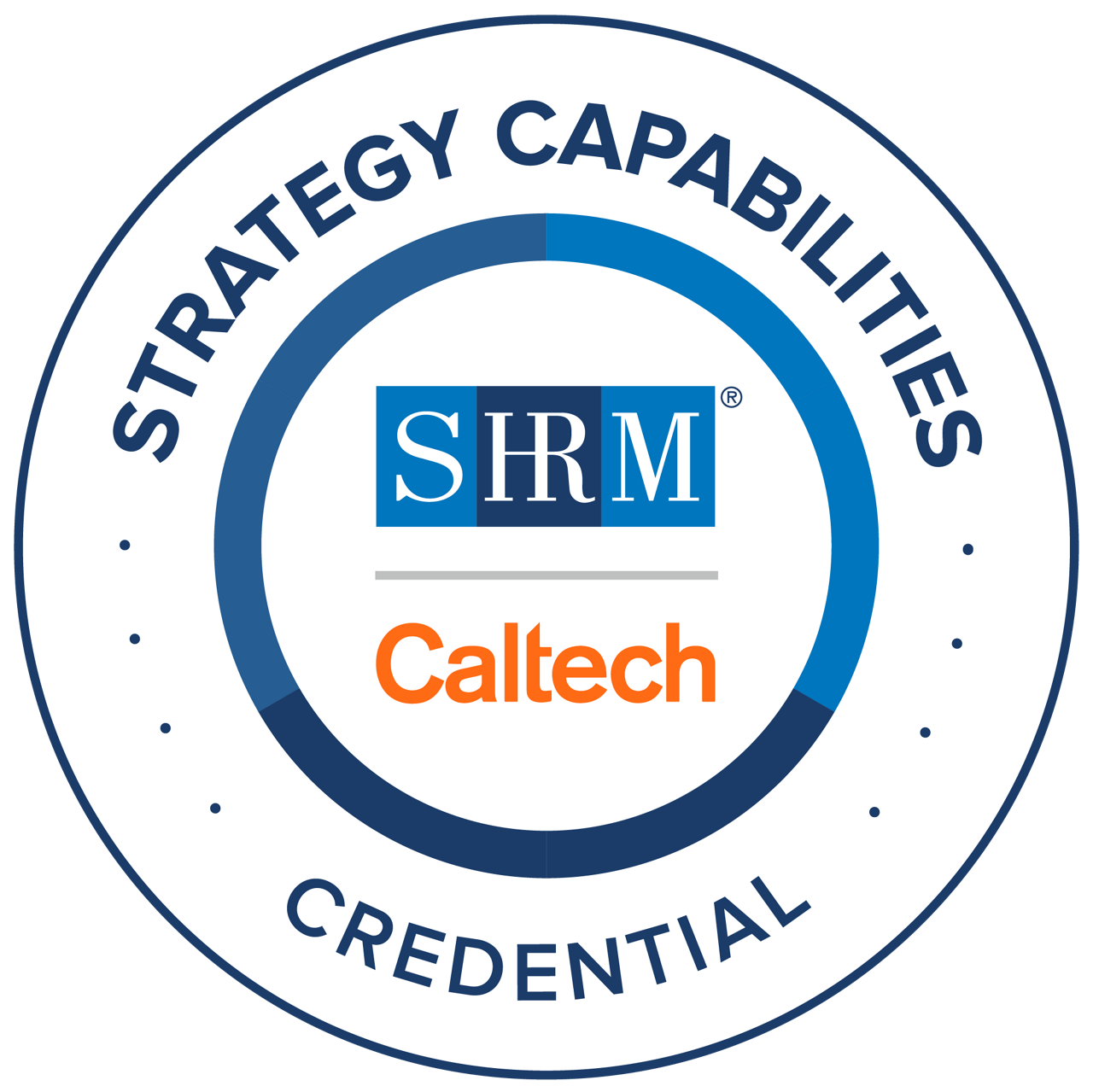 Strategy Capabilities Credential